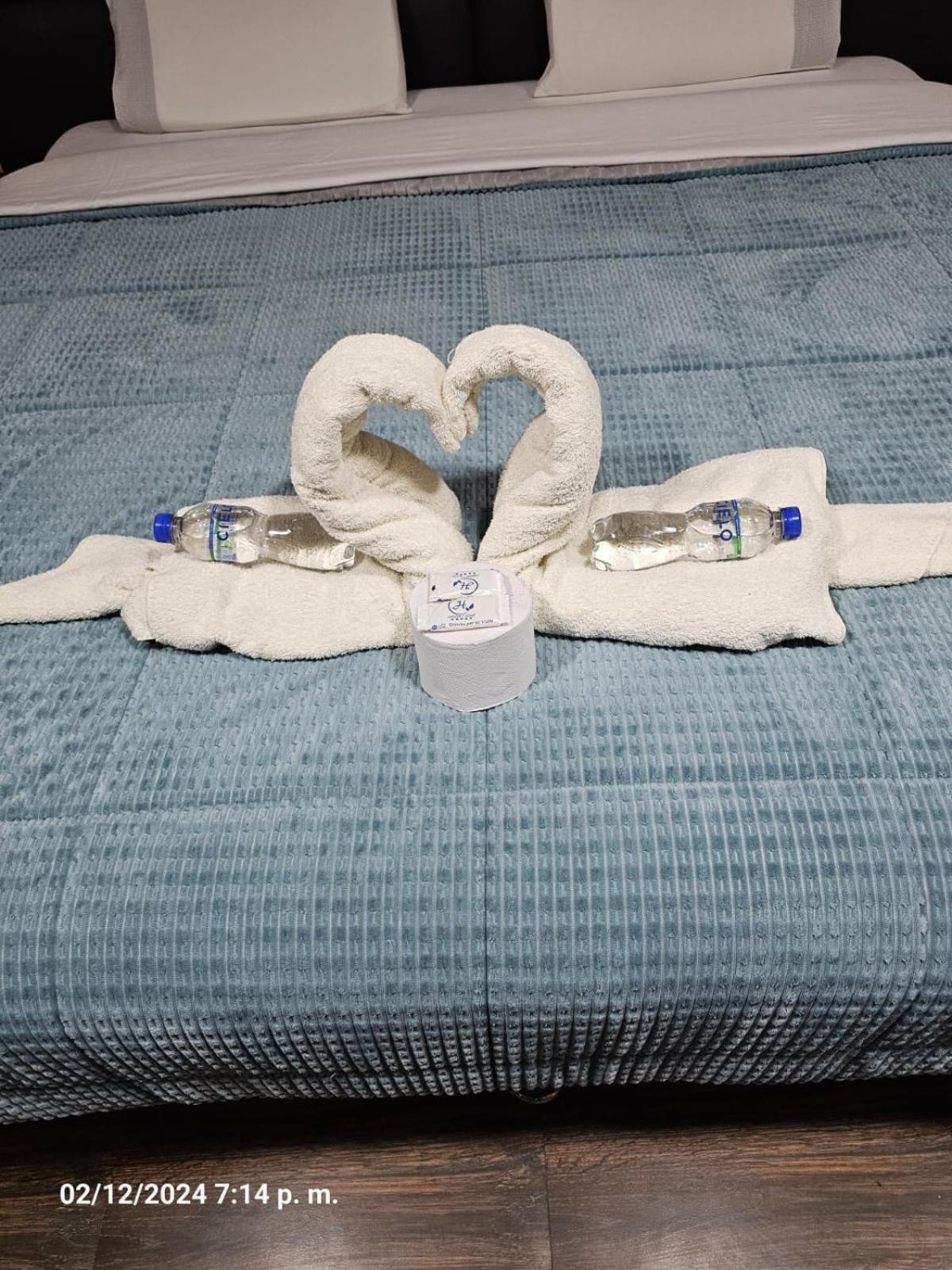 Hospedaje Paqcha 库斯科 外观 照片